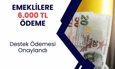 6000 tl emeklilere ödeme onaylandı! SSK Bağkur ve Emekli Sandığı emeklisi istediği zaman hesabına yatacak