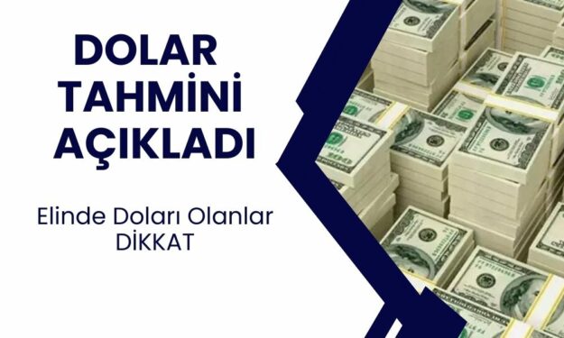 Doğru bilen dolar tahmincisi 2024 yıl sonu kur tahminini açıkladı! Elinde doları olanlar yandı