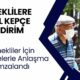 Emeklilere indirim yapılacak! 1410 işletme ile anlaşma imzalandı