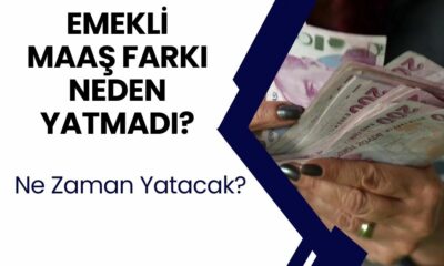 Emekli maaş farkları yattı mı, nasıl sorgulanır? 4A, 4B, 4C emekli maaş farkı sorgulama ekranı 2024