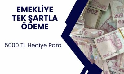 Tüm Emeklilere Tek Şartla 5000 TL Ödenecek! Başvuru Zamanı Bitiyor