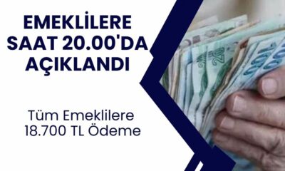 Emeklilere Ödeme Var! Tüm Emekliler Hesabını Kontrol Etsin! 18.700 TL Ödeme Yatacağı Açıklandı