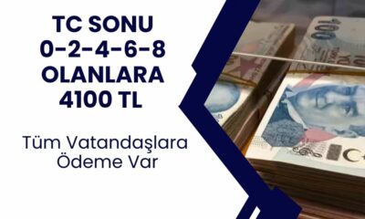 4100 TL ödeme yatacak! TC kimlik numarası son rakamları 0-8 arasında olan herkes için yatacak