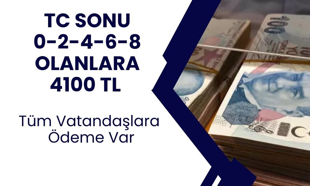 11100 TL emekliye ek ödeme için yeni duyuru yapıldı! Başvuru yapanlar 10 gün içinde ödenecek