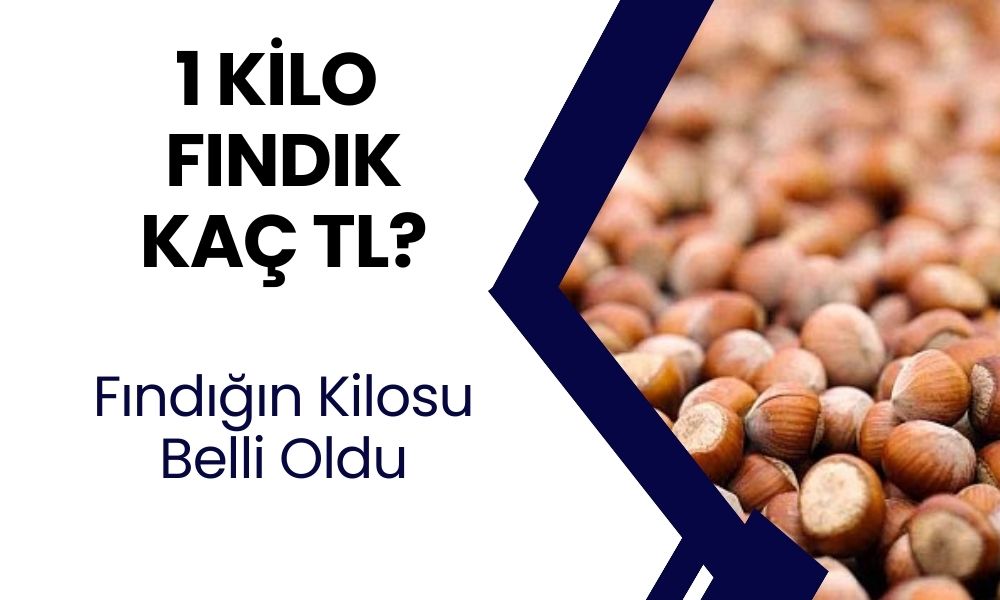 Fındığın kilosu belli oldu