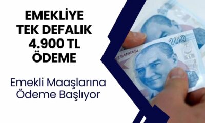 EMEKLİLERE ek ödemeler başladı! TC ile başvuru yapan EMEKLİLERE en az 4900 TL nakit ödeme veriliyor