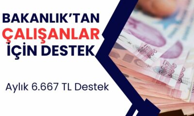 18-55 Yaş Arasındaki İşe Başlayanlara Büyük Müjde! Aile ve Sosyal Politikalar Bakanlığı’ndan Nakit Yardım Desteği