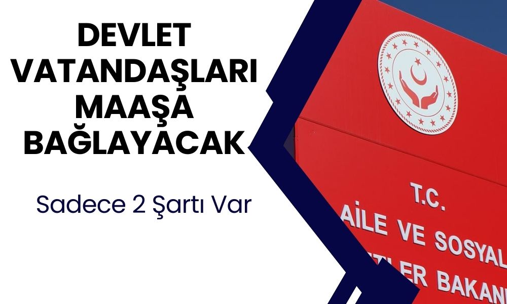 Devlet 100 bin vatandaşa maaş bağlayacak! İki şartı sağlayan her ay ödeme alacak