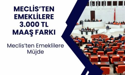 Emeklilere EK ÖDEME Yatacak! TBMM’den Onaylandı! 3.000 TL Maaş Farkı Yatacak