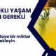 Limonataya bir miktar ekleyin, böbrekleri sıfırlıyor ve mideyi rahatlatıyor