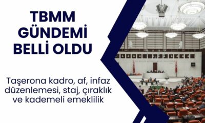 Taşerona kadro, af, infaz düzenlemesi, staj, çıraklık ve kademeli emeklilik ile ilgili TBMM gündemine girdi