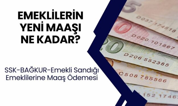 SSK, BAĞKUR VE EMEKLİ SANDIĞI MAAŞLARI BELLİ OLDU! 10-11-12-13 bin alan emeklilerin maaşı ne kadar arttı? İşte, 2024 4A-4B-4C emekli maaş hesaplama tablosu!