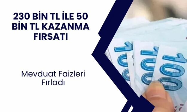 Sadece 230 Bin TL İle 50 Bin TL Gelir Elde Etme Fırsatı