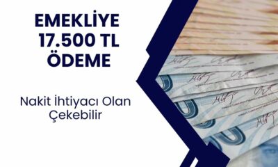 EMEKLİYE NAKİT! Ay Sonunu Getiremeyen Emeklilere 17.500 TL Ödeme Verilecek! Şartlar Belirlendi