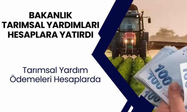 Çiftçiye müjde! Bakanlık hesaplara paraları yatırdı