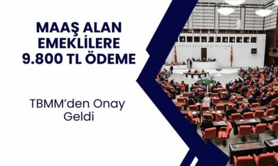 TBMM Onay Verdi! Maaş Alan Emeklilere 9.800 TL Ödeme Başlıyor! Başvuru Nasıl Yapılacak?