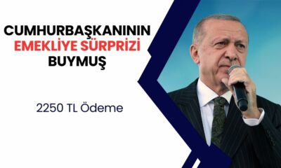 13 milyon 810 bin EMEKLİYE karar CUMHURBAŞKANLIĞI tarafından açıklandı, Banka hesabına 2250 TL ödeme!