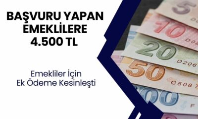 EMEKLİ MAAŞLARINA ek ödemeler yatıyor! TC ile başvuru yapan TÜM EMEKLİLERE en az 4.500 TL nakit ödeme verilecek!