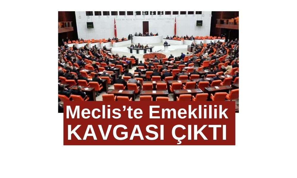 TBMM kürsüsü, CHP Adana Milletvekili, Müzeyyen Şevkin, emekli maaşı, asgari ücret, tasarruf tedbirleri, kanun teklifi, elektrik zamları, yurtdışına çıkış harcı, en düşük emekli maaşı, AKP Grup Başkanı Abdullah Güler, bütçe yükü, saray harcamaları, sosyal adalet, ekonomik kriz, hak mücadelesi, Meclis Genel Kurulu, emeklilik hakları, sosyal yardım, ekonomik sıkıntılar, seçim vaatleri,