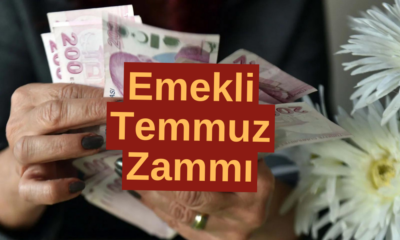 Enflasyon Farkı, Seyyanen Zam, Refah Payı... SGK Uzmanı Tek Tek Anlattı! Emekli Maaşı 31.800 TL'ye Geliyor Ama...