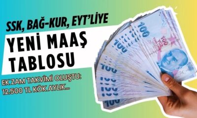 12.500 TL maaş alan SSK, Bağ-Kur, EYT emeklisine müjde: Maaşınıza 17.500 TL'lik %43 zam hesabı çıktı! Az primle gün sayanlar dikkat