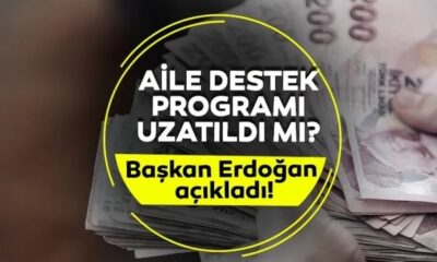 AİLE DESTEK ÖDEMESİ UZATILDI MI (AĞUSTOS 2024) Aile destek ödemesi ne zaman yatacak, bu ay verilecek mi, bitti mi Cumhurbaşkanı Erdoğan'dan önemli açıklama geldi-2