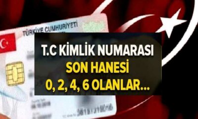 EMEKLİLERE KİMLİK numarasına göre ödemeler başladı! Başvuru yapan bazı emekliler 100 bin TL aldı!