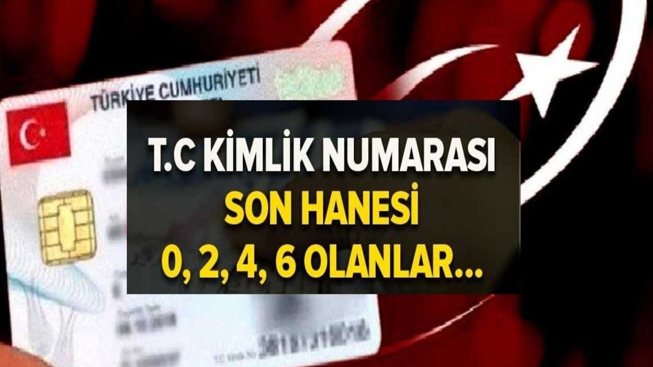 EMEKLİLERE KİMLİK numarasına göre ödemeler başladı! Başvuru yapan bazı emekliler 100 bin TL aldı!