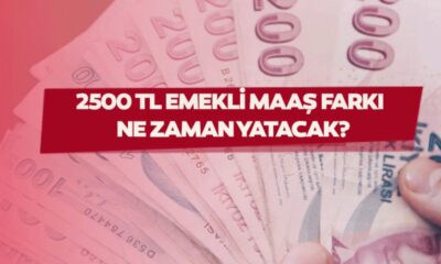 Emekli zam farkları! SSK, Bağ-kur, Emekli Sandığı, EYT maaşları hangi günlerde yatacak İşte tahsis no'ya göre ödeme tarihleri