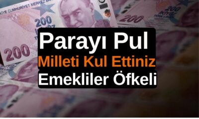 #ParayıPulMilletiKulEttiniz