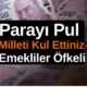 #ParayıPulMilletiKulEttiniz