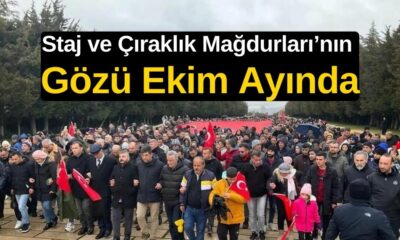 staj ve çıraklık, staj, çıraklık, sgk, staj ve çıraklık mağdurları, staj çıraklık mağduru, staj ve çıraklık sigortası, mağdur