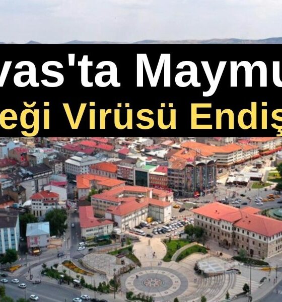 Sivas'ta Maymun Çiçeği Virüsü Endişesi