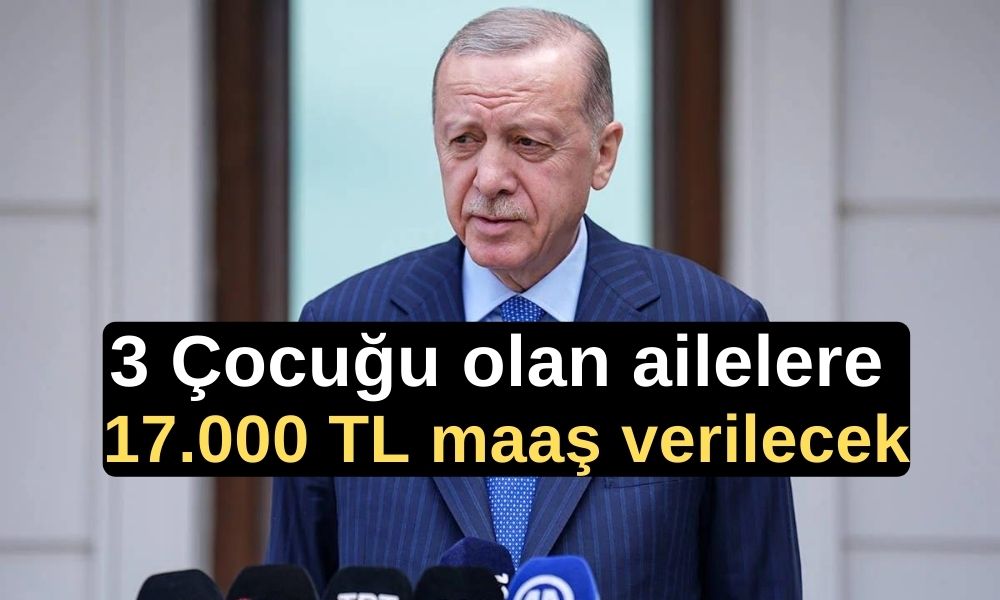 3 çocuklu aileler, devlet maaşı, doğum oranları, bakım desteği, nüfus artışı, teşvik planı, doğum parası, bez ve mama yardımı, anne dostu hastaneler, tüp bebek desteği, kısmi süreli çalışma, araç alımı avantajları, konut alımı avantajları, Türkiye nüfus hedefi, AK Parti teşvik programı,