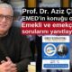 Prof. Dr. Aziz ÇELİK emed istanbul