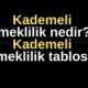 Kademeli emeklilik nedir? Kademeli emeklilik tablosu