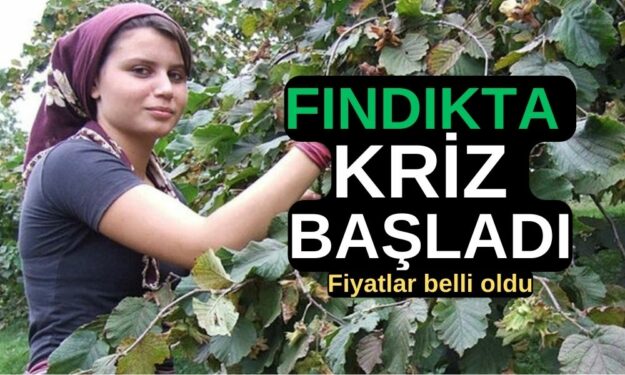 FINDIKTA KRİZ BAŞLADI: Fındık yevmiye ücretleri belli oldu!