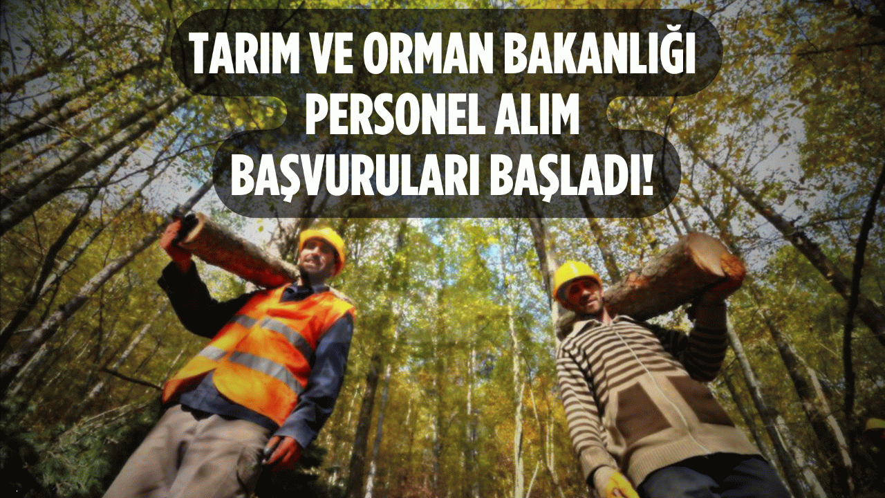 Tarım ve Orman Bakanlığı, KPSS puanı, Personel alımı, ÖSYM tercih kılavuzu, Sözleşmeli personel, Kırsal alan, Ziraat mühendisliği, Orman mühendisliği, Pratik beceriler, KPSS-2024/4, Başvuru süreci, Yerleştirme kılavuzu, Kamu personel alımı, Alım ilanları, Resmi internet sitesi,