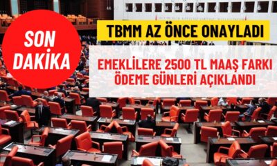 TBMM’den geçti! Yarın 08.30’da Emeklilere 2500 TL Ek Ödeme Olacak