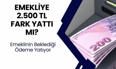 Emekli maaşının 12 bin 500 lira olmasıyla birlikte Temmuz ayında 2 bin 500 lira zam farkı oluştu. Emekli maaş farkları ödeme tarihleri Sosyal Güvenlik Kurumu (SGK) tarafından açıklandı. Peki, emekli maaş farkı ne zaman yatacak? İşte, 2024 en düşük emekli maaşı 2500 zam farkı ödeme tarihleri…