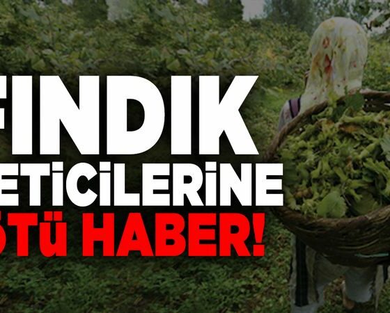 Fındık Üreticilerine Darbe Üstüne Darbe! Karar Açıklandı