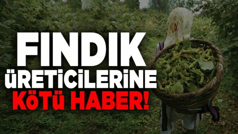 Fındık Üreticilerine Darbe Üstüne Darbe! Karar Açıklandı