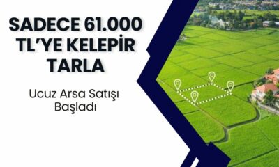 Ziraat Bankası’ndan Kaçırılmayacak Fırsat! Sadece 61.000 TL’ye Kelepir Tarla!