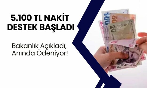 5.100 TL Nakit Destek Başladı! Bakanlık Açıkladı, Anında Ödeniyor!