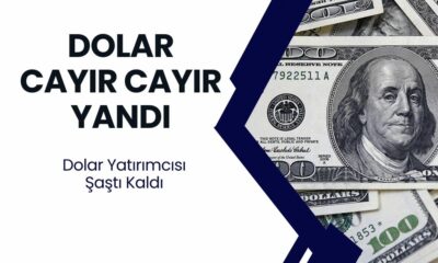 Dolar Alev Aldı Yanıyor! Tüm Dünyadaki Dolar Sahipleri Şaştı Kaldı!