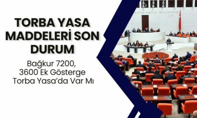 TORBA YASA MADDELERİ SON DURUM 2024: Bağkur 7200, 3600 Ek Gösterge Torba Yasa’da Var Mı, Ne Zaman Çıkar?