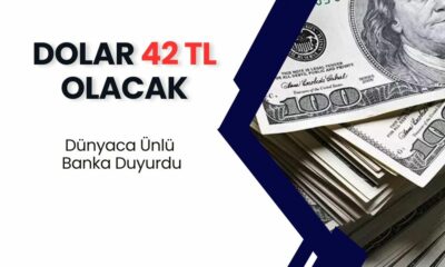 Dolar Yıl Sonuna Kadar 42 TL'ye Çıkacak! Dünyaca Ünlü Banka Kötü Haberi Verdi