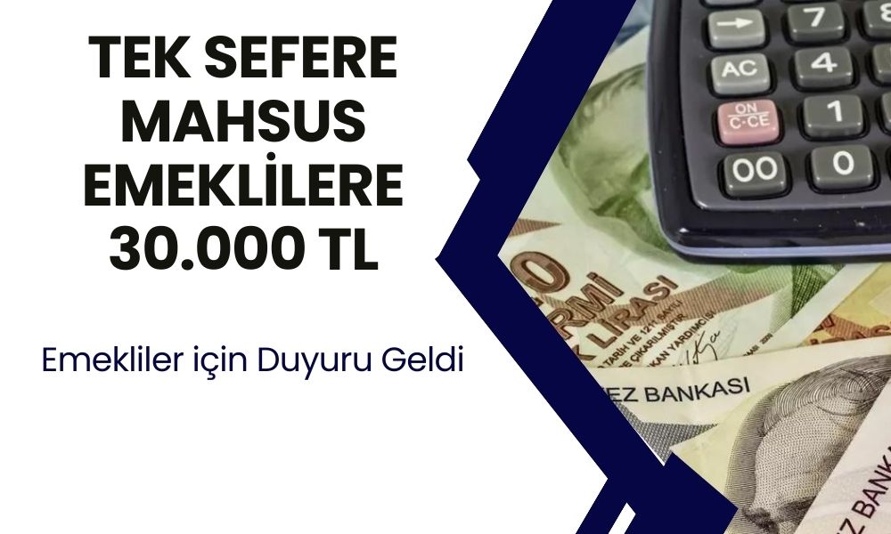 Emeklilere 30.000 TL Müjdesi! SSK ve Bağkur Emeklilerine Dev Destek!