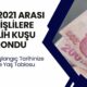 SSK Girişi 2001 2021 Arası Olanlar Gözünüz Aydın! Prim Başlangıç Tarihinize Göre Emeklilik Yaş Tablonuz Hazır