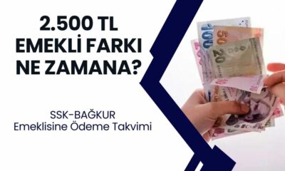 Emekli maaş zam farkı ne zaman yatacak? Emeklilere(4A-4B) 2.500 TL fark ödemesi tarihi açıklandı! Şimdi Öğrenin